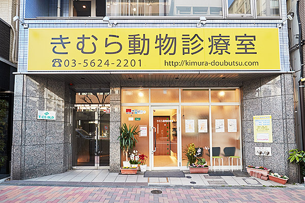 きむら動物診療室